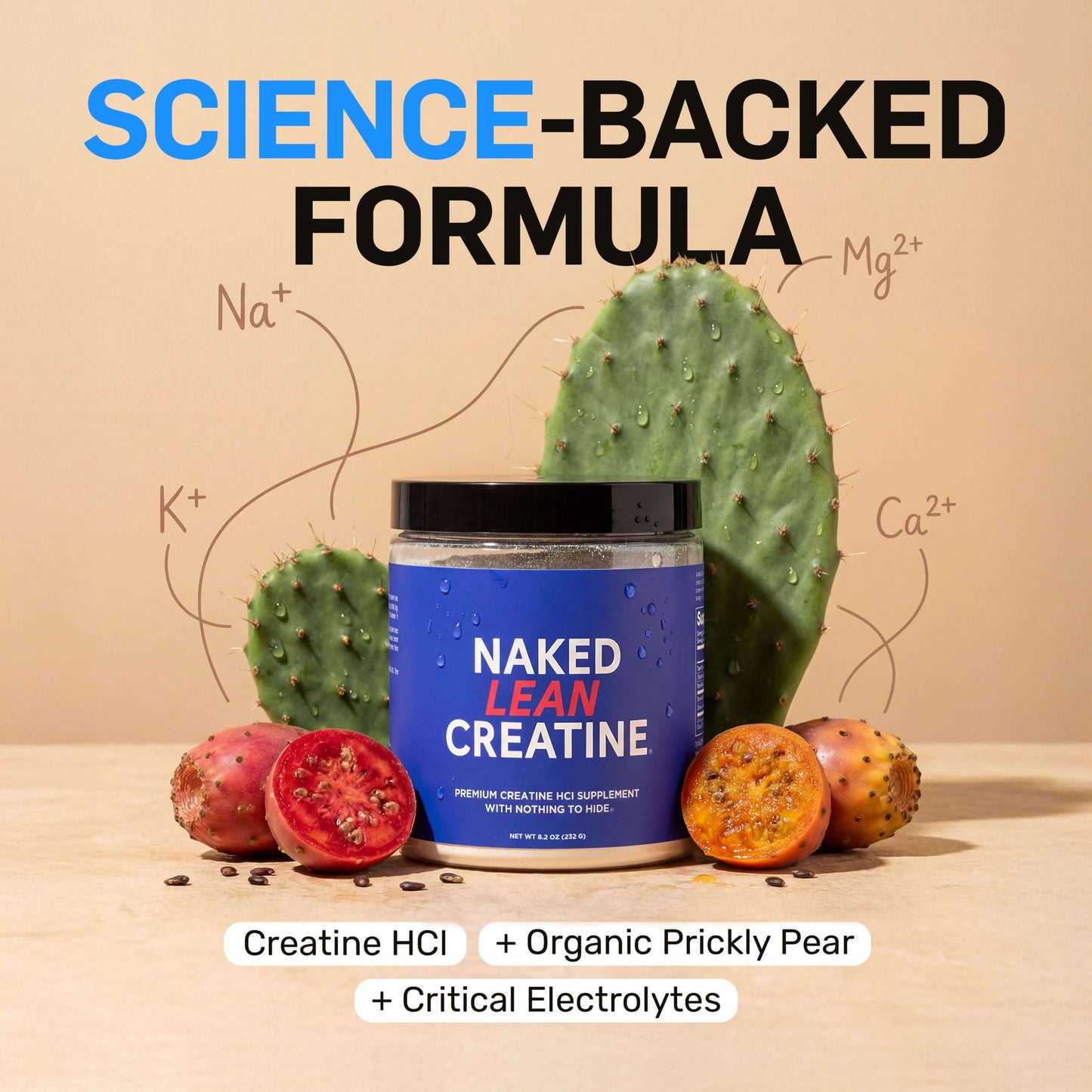Creatine HCl Powder - Unflavored with a Convenient Training - Day Formula