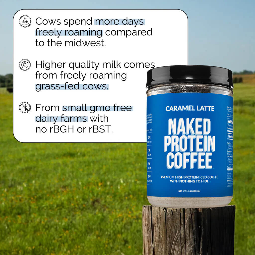 Caramel Latte Protein Iced Coffee - Caramel Latte with Coffee Flavor in an Easy - Mix Formula