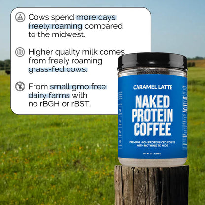 Caramel Latte Protein Iced Coffee - Caramel Latte with Coffee Flavor in an Easy - Mix Formula