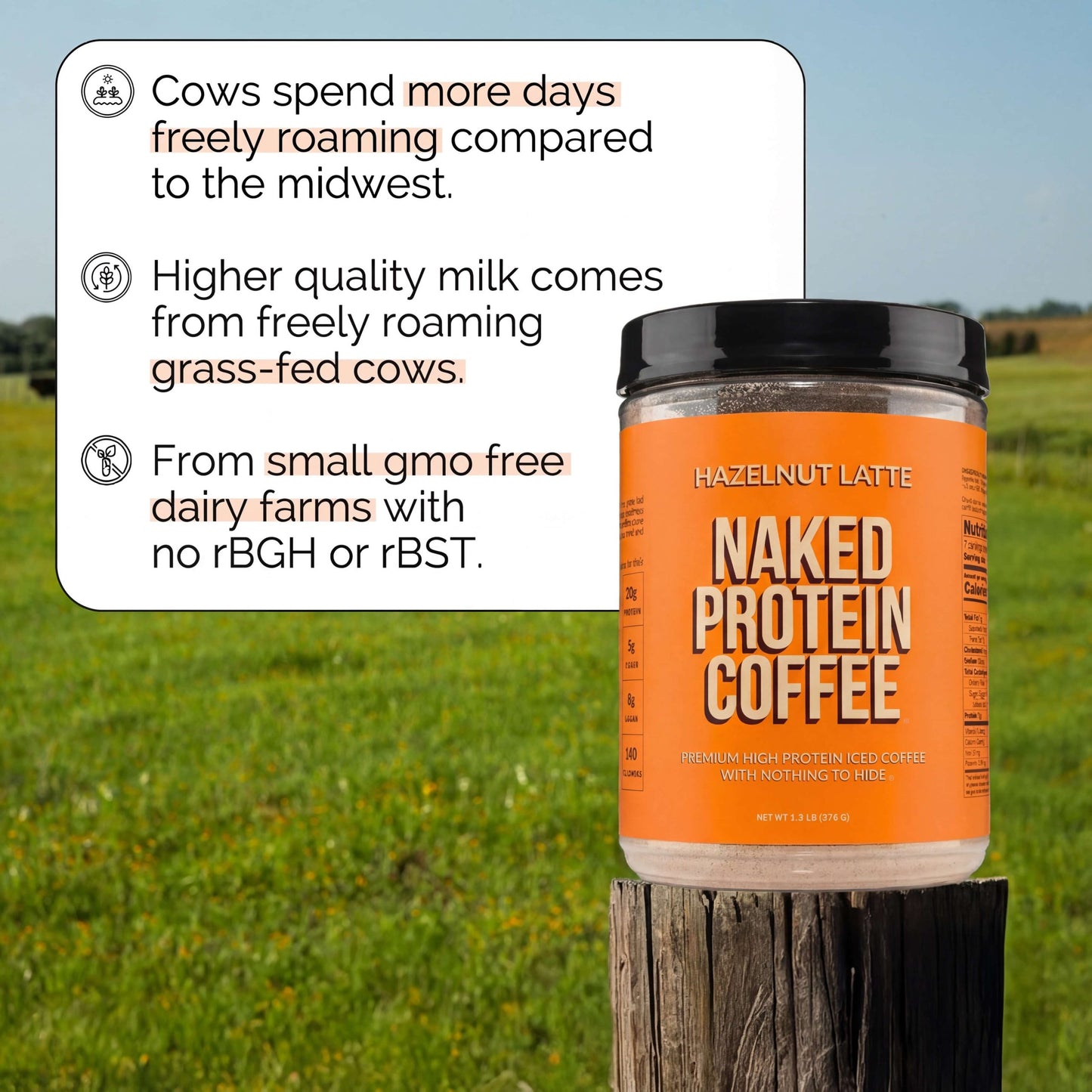 Hazelnut Latte Protein Iced Coffee - Hazelnut Latte with Coffee Flavor in an Easy - Mix Formula