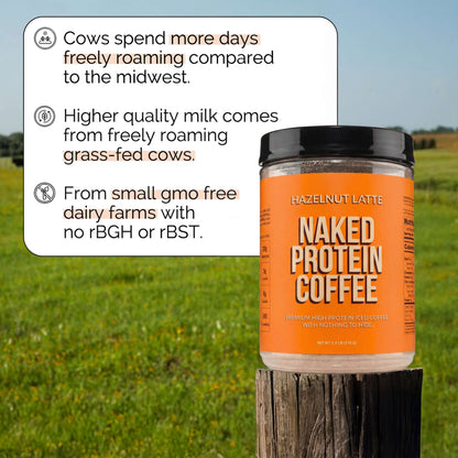 Hazelnut Latte Protein Iced Coffee - Hazelnut Latte with Coffee Flavor in an Easy - Mix Formula
