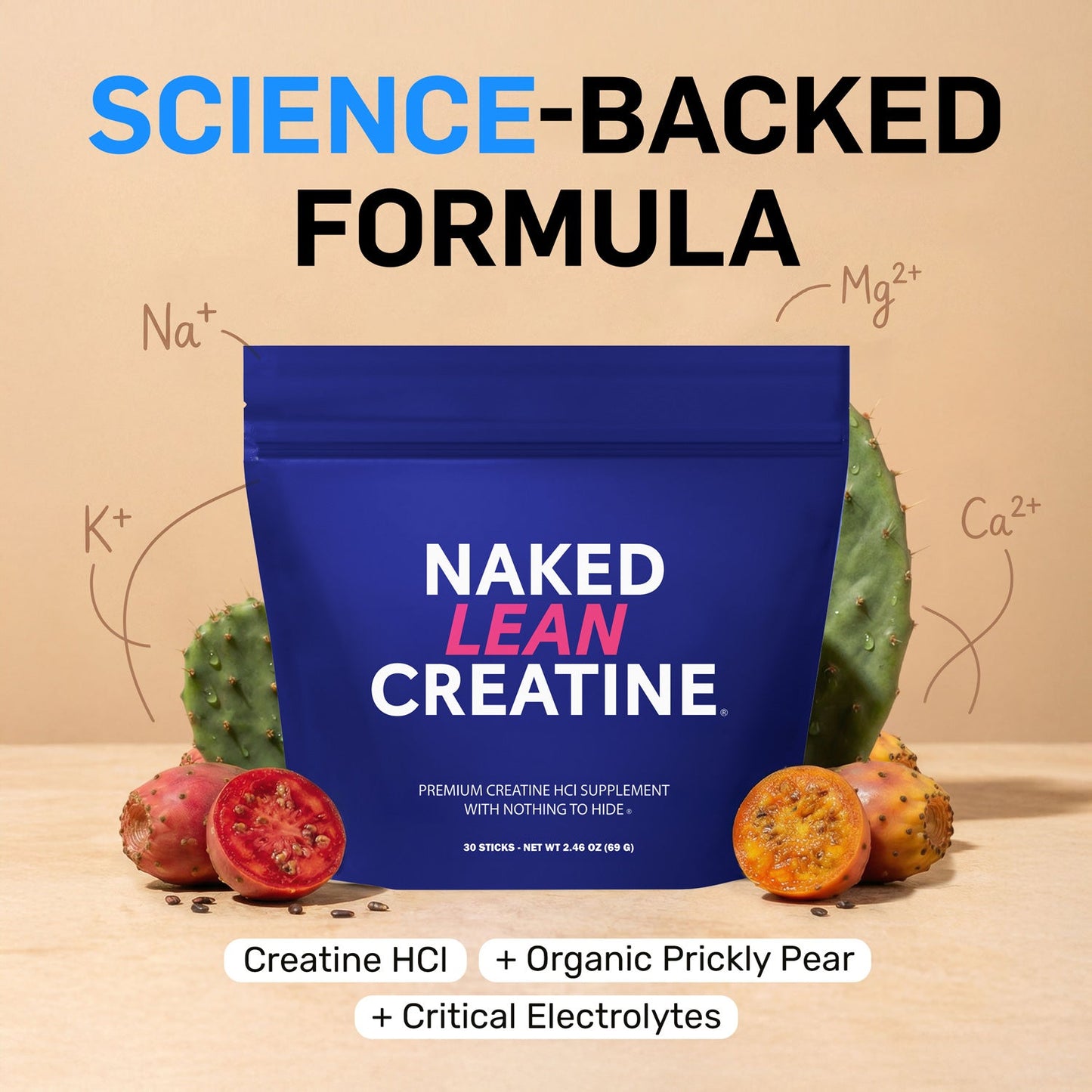 Creatine HCl Travel Packets - Stick Packs with a Convenient Training - Day Formula