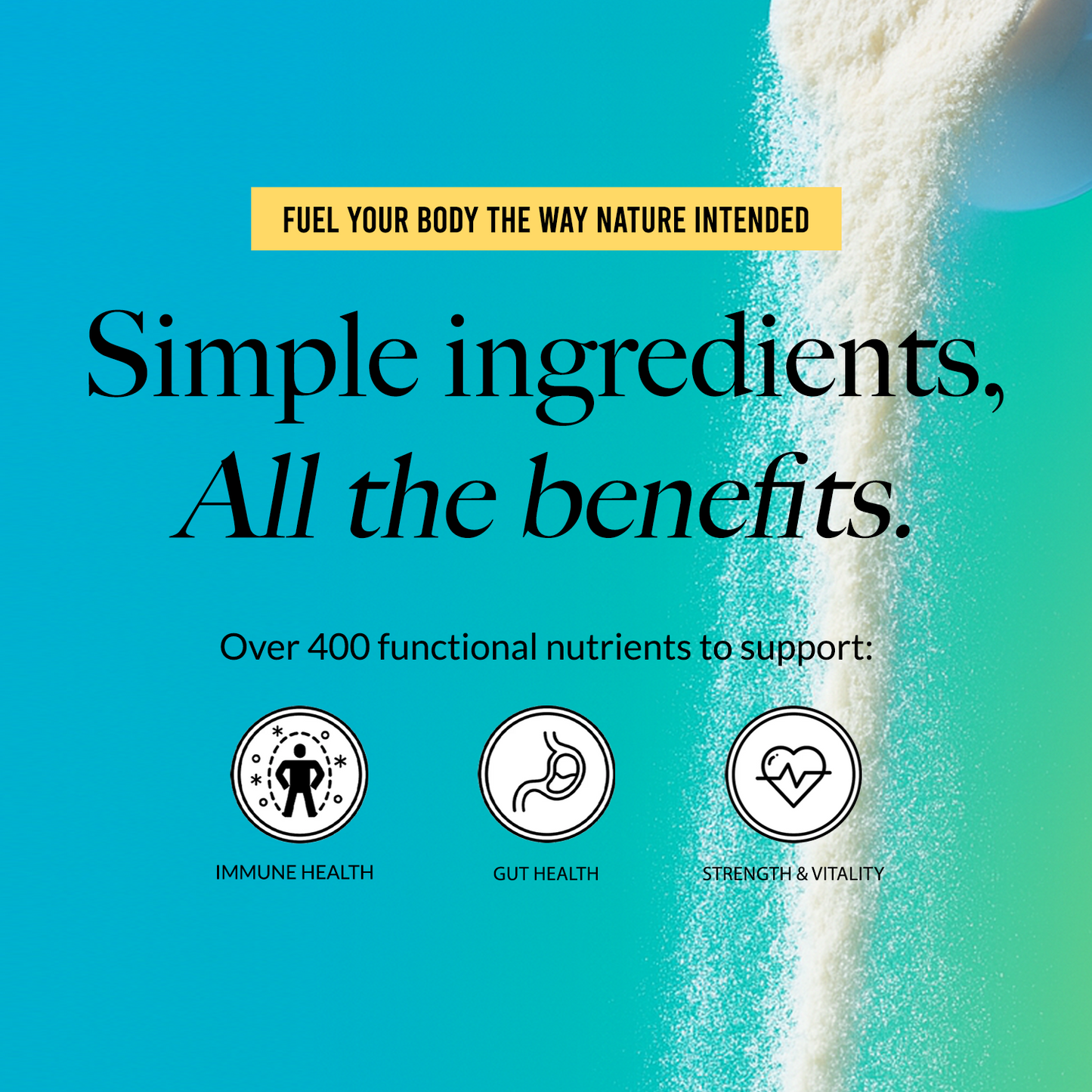 Grass - Fed Colostrum Powder - Colostrum Powder with a Simple, Versatile Collagen Formula