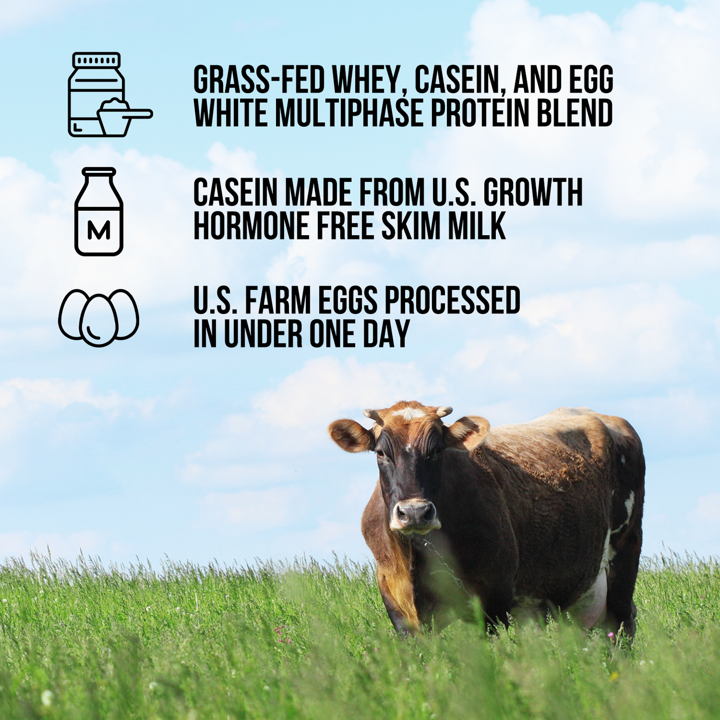 Protein Powder Blend - 1LB Egg Whey and Casein Protein Blend - 1LB with a Simple, Easy - Mix Protein Formula