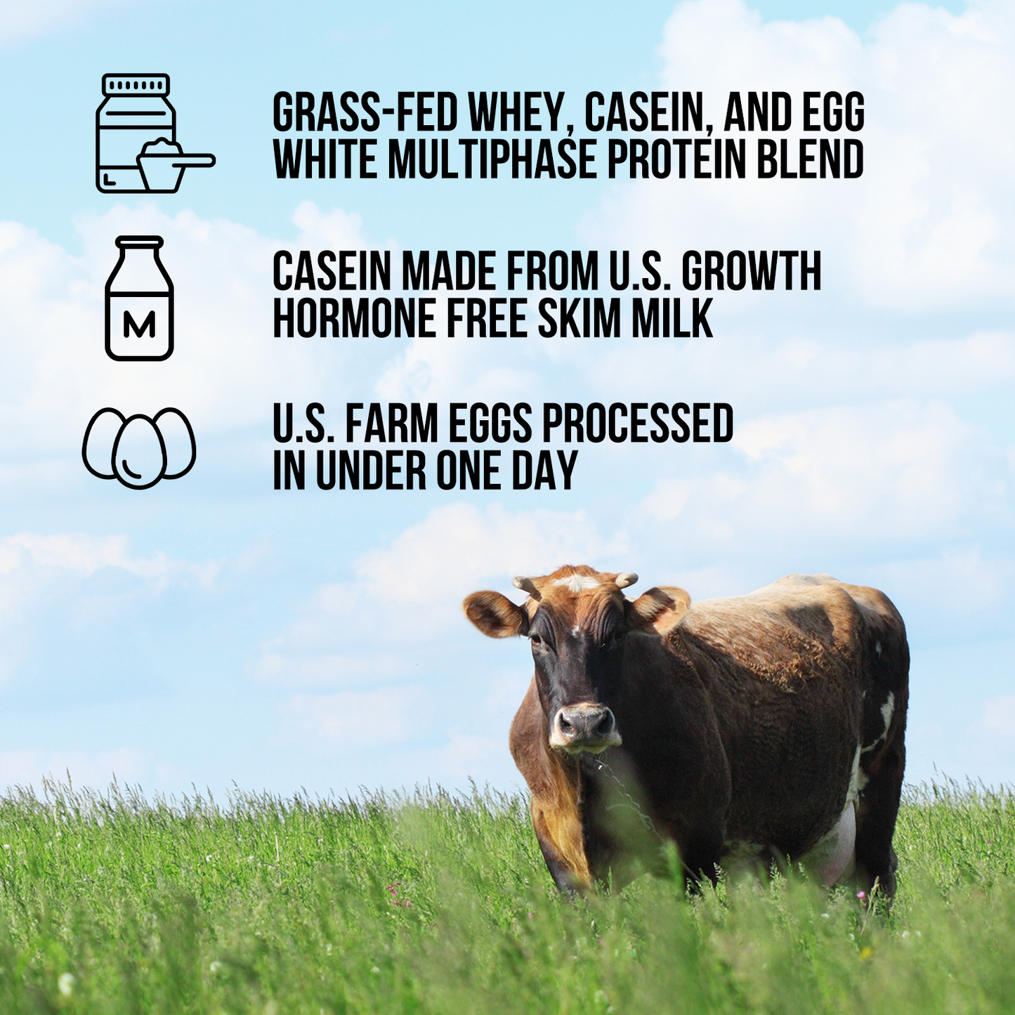 Protein Powder Blend - 3LB Egg Whey and Casein Protein Blend - 3LB with a Simple, Easy - Mix Protein Formula
