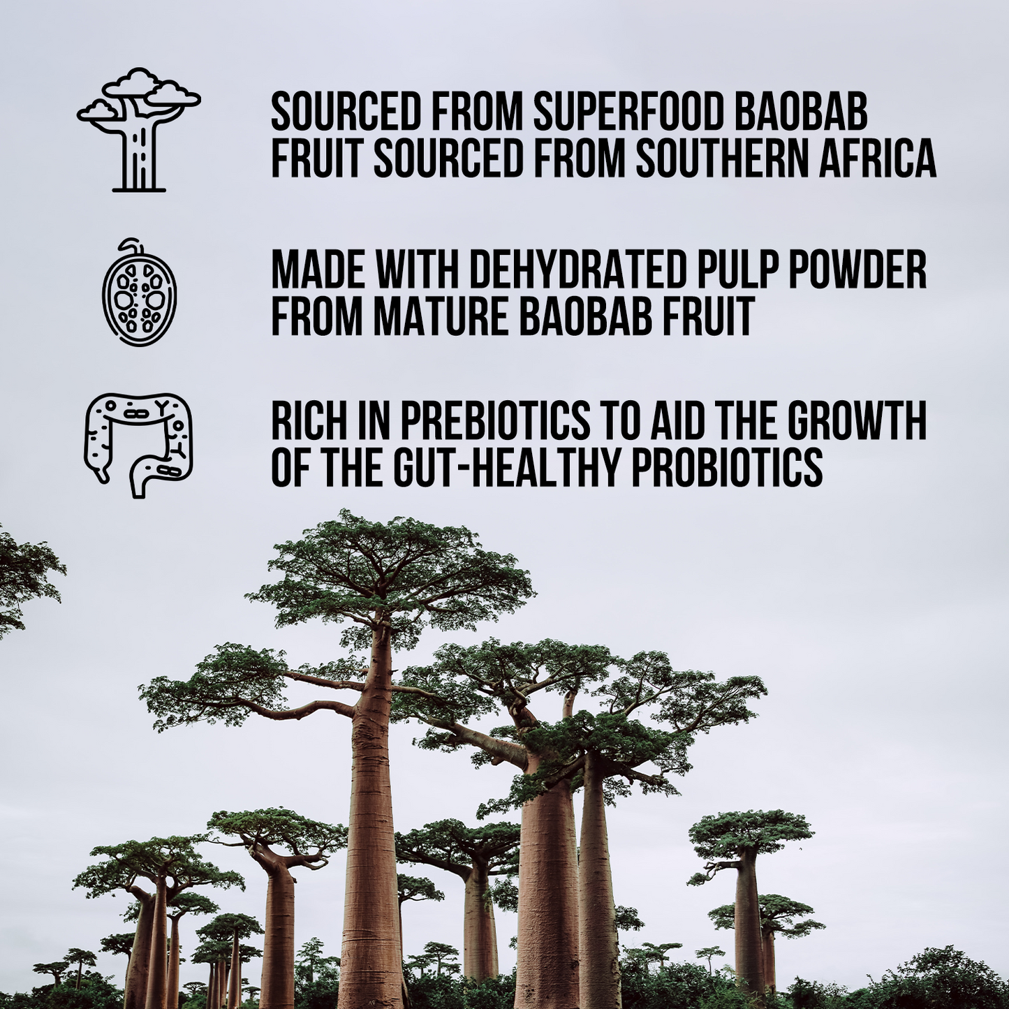 Organic Fiber Supplement with a Convenient, Easy - Use Formula